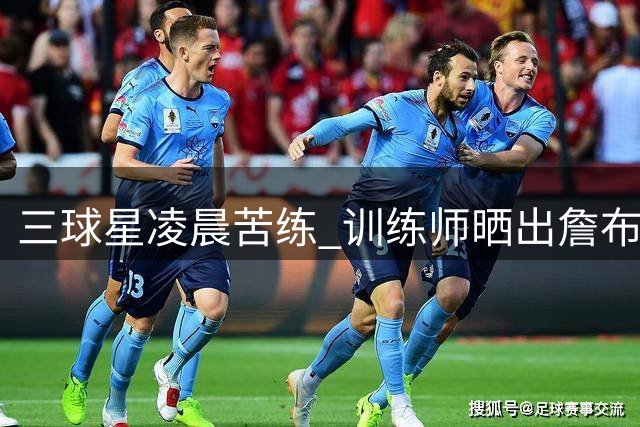 三球星凌晨苦练 训练师晒出詹布朗马克西合照