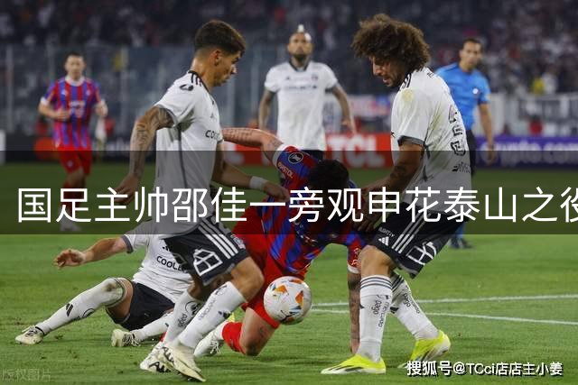 国足主帅邵佳一旁观申花泰山之役 备战四国赛考察队员