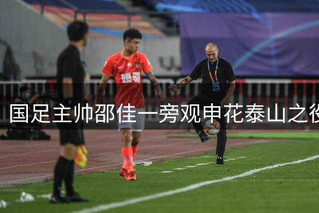 国足主帅邵佳一旁观申花泰山之役 备战四国赛考察队员